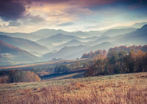 Mattina sulle montagne carpatiche . Immagine Stock