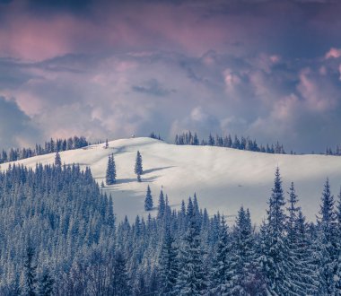 Karpat Dağları'nda kış sabahı.
