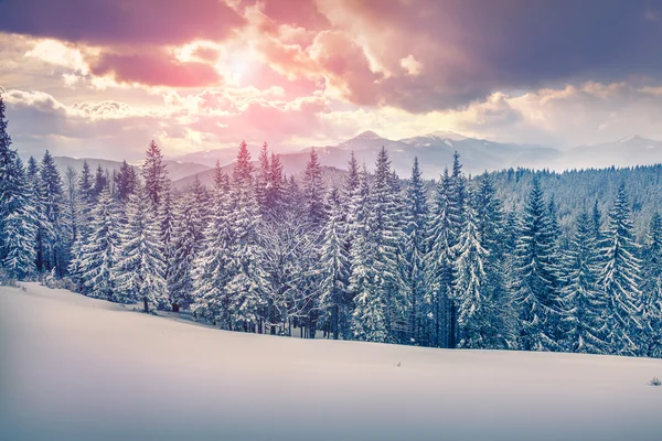 Zonsopgang in het Karpaten gebergte. — Stockfoto