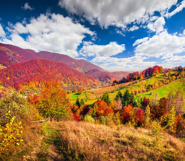 Höst landskap i Karpaterna bergen. — Stockfoto