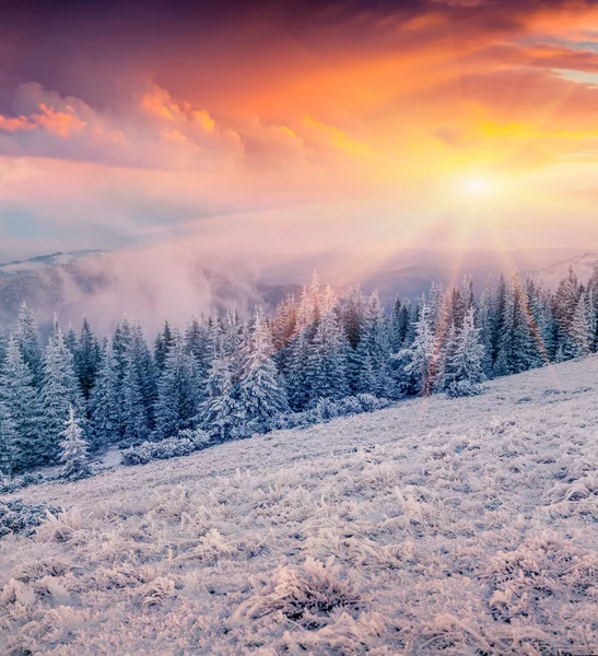 Sunrise dağ orman — Stok fotoğraf