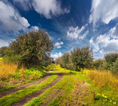 Cape Milazzo Garden'da