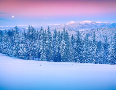 Gorgany ridge kış Karpat Dağları'nda.