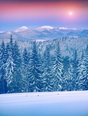 Karpat Dağlarında Gündoğumu.