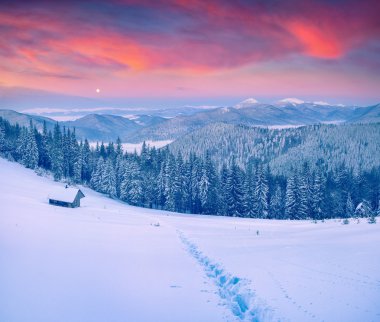 Ay Gorgany ridge kış Karpat Dağları'nda yukarıda rising.