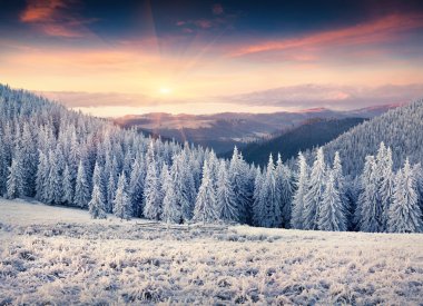 sunrise in the Carpathian mountains. clipart