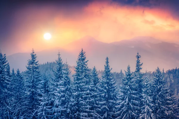 Tramonto sulle montagne dei Carpazi — Foto Stock