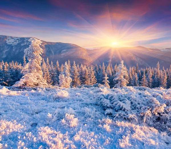 Sonnenaufgang in den Karpaten. lizenzfreie Stockfotos