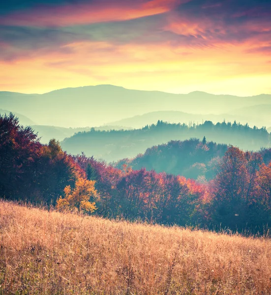 Podzim v Karpatských horách — Stock fotografie