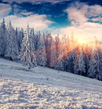 güneşli bir kış sabahı