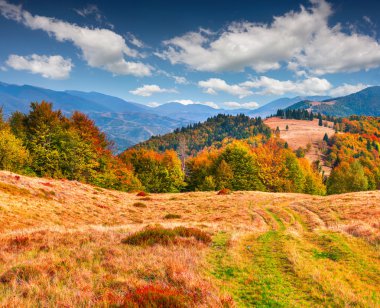 sabah Karpat Dağları.