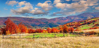 Dağlarda sonbahar manzarası