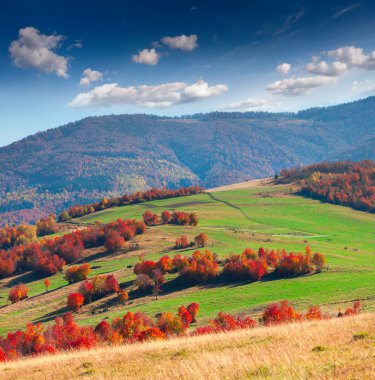 Karpat Dağları manzara.