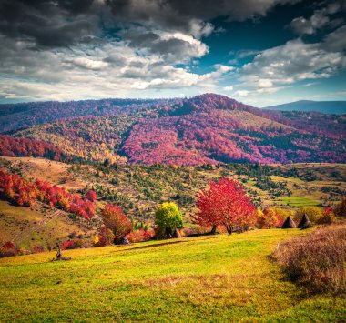 Dağlarda yaz manzarası