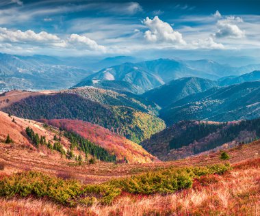 dağlarda renkli sonbahar.