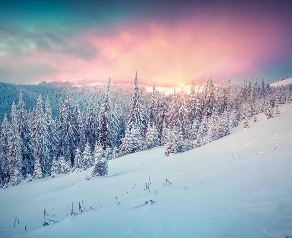 Wintersonnenaufgang in den Bergen. — Stockfoto