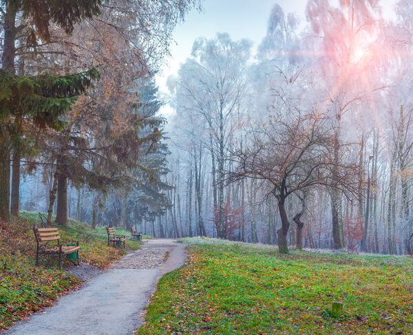 Autumn scenery in the park.