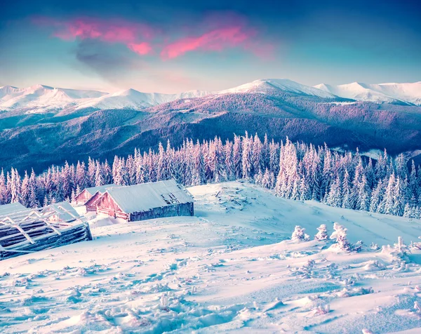 Mattina invernale sulle montagne dei Carpazi Fotografia Stock