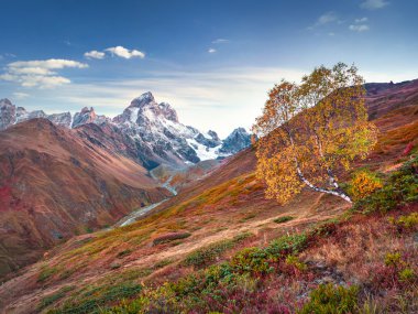 Colorful autumn morning in the Caucasus mountains.