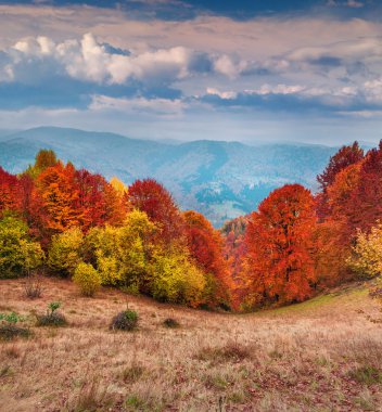 sonbahar sabahı Karpat Dağları.