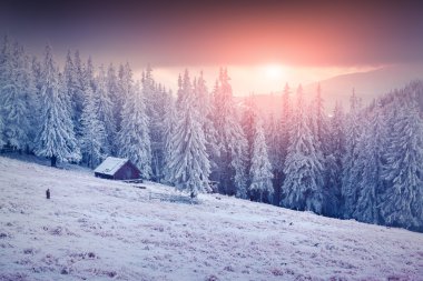 Karpat Dağları'nda kış gündoğumu.