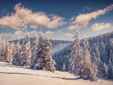 Dağlarda kış sabahı