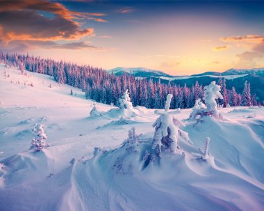 Renkli Kış gündoğumu Dağları. 