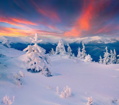 Renkli Kış gündoğumu Dağları. 