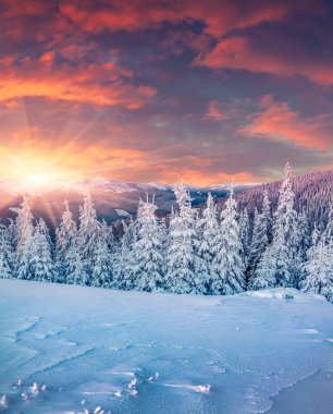 Renkli Kış gündoğumu Dağları. 