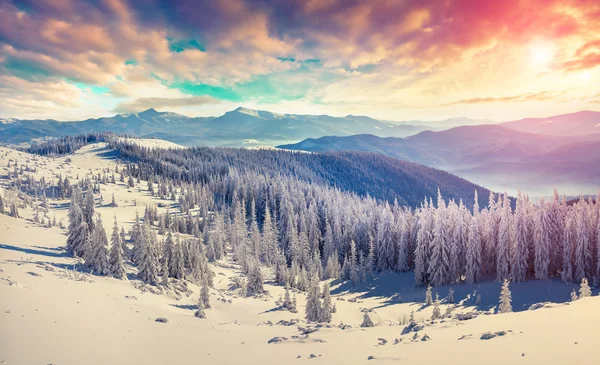 Winter in de Karpaten — Stockfoto