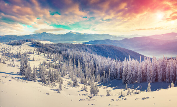 winter in the Carpathian mountains