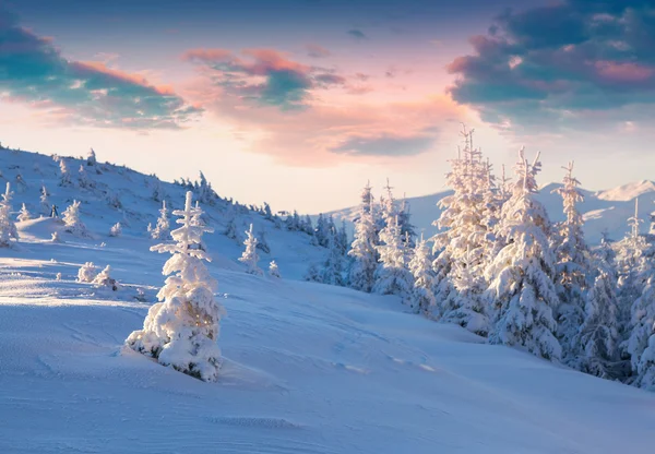Renkli Kış gündoğumu Dağları. 