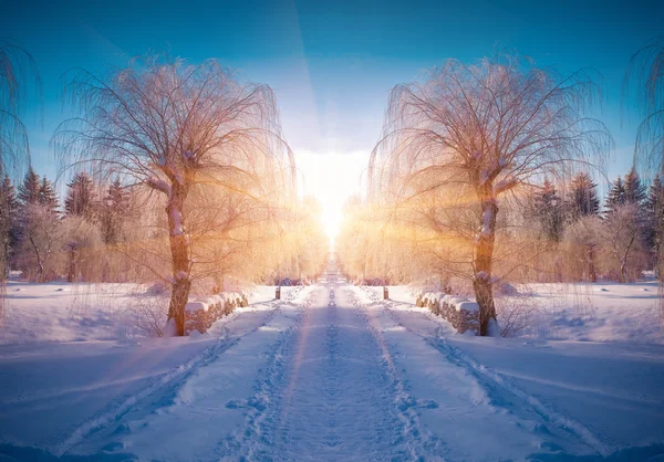 Paesaggio invernale nel parco cittadino — Foto Stock