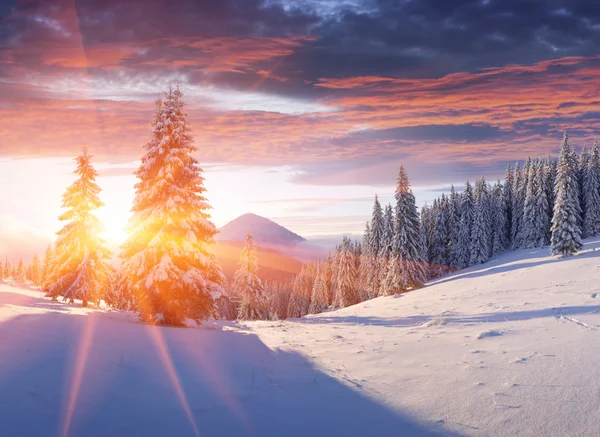 Mañana de invierno en las montañas — Foto de Stock