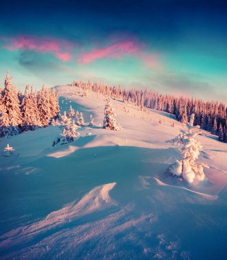 Karpat Dağları renkli kış sahne.