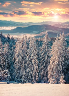 Karpat dağlarında gün batımı.