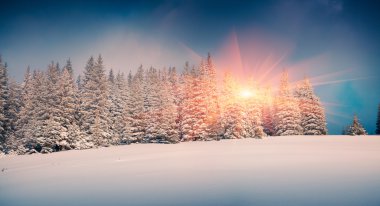 Karpatya dağlarında kış.