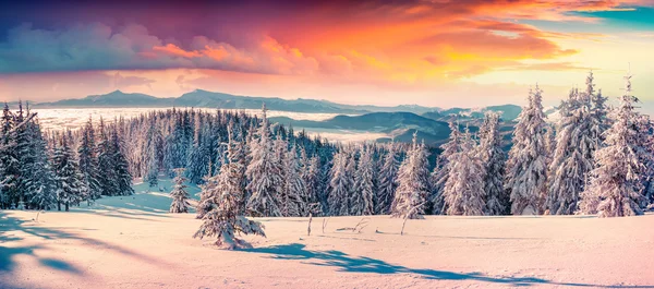 Lever de soleil dans les montagnes enneigées. — Photo