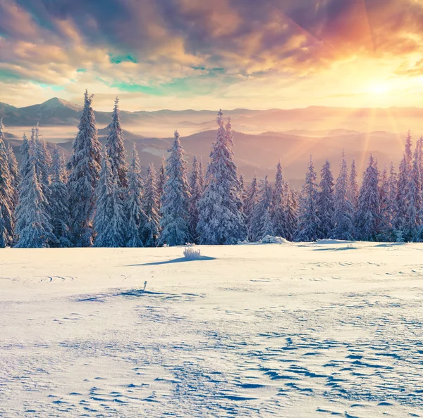 카 르 파 티아 산맥에서 안개가 겨울 일출. — 스톡 사진