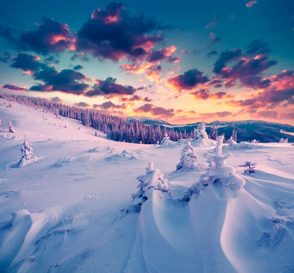 Cena de inverno nas montanhas dos Cárpatos. — Fotografia de Stock