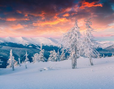 Renkli kış sahne karlı dağlarda