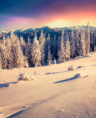 renkli kış sabahı Dağları