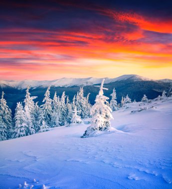 winter scene in the snowy mountain