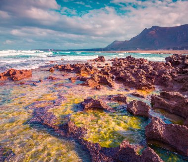 Renkli bahar sabahı