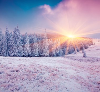 Renkli Kış gündoğumu