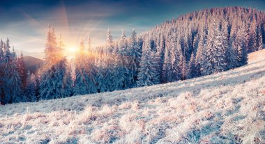 Renkli Kış gündoğumu