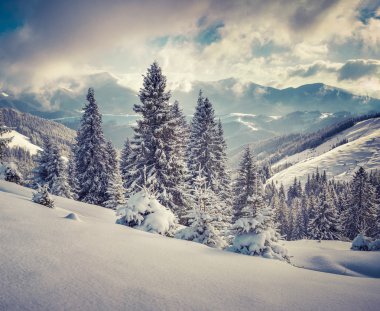 karlı dağlarda kış sahne