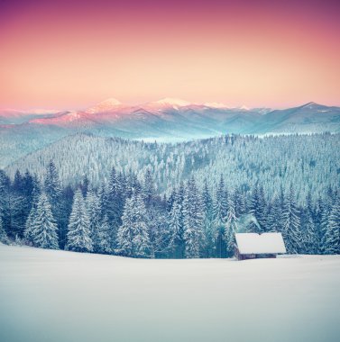 Forester'ın kulübe karla kaplı