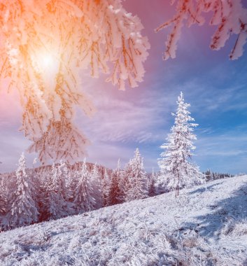 Renkli Kış gündoğumu