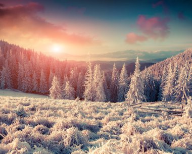 İlk buz dağ Vadisi. 